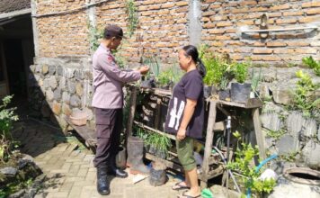 Seledri Sehat dari Pekarangan: Polsek Sawahan Dukung Ketahanan Pangan Warga