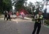Unit Turjagwali Satlantas Polres Kediri Kota Bersama Dinas Terkait Lakukan Evakuasi Pohon Tumbang di Jalan Veteran