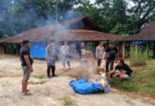 Tindak Tegas! Polres Ponorogo Bubarkan 3 Titik Judi Sabung Ayam dan Dadu