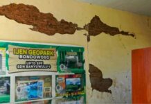 MENCARI DATA MENGUNGKAP FAKTA